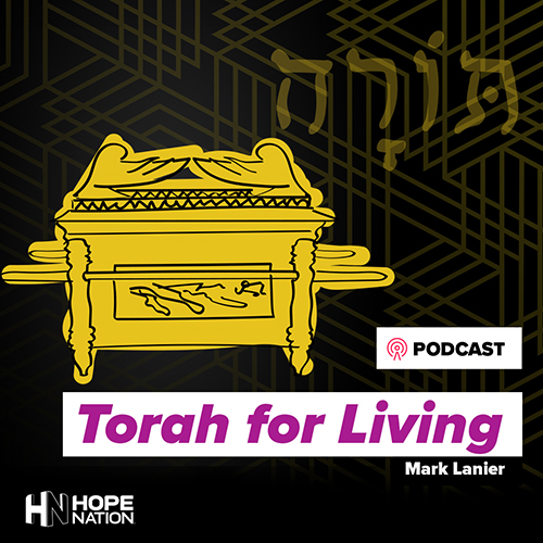 Torah For Living