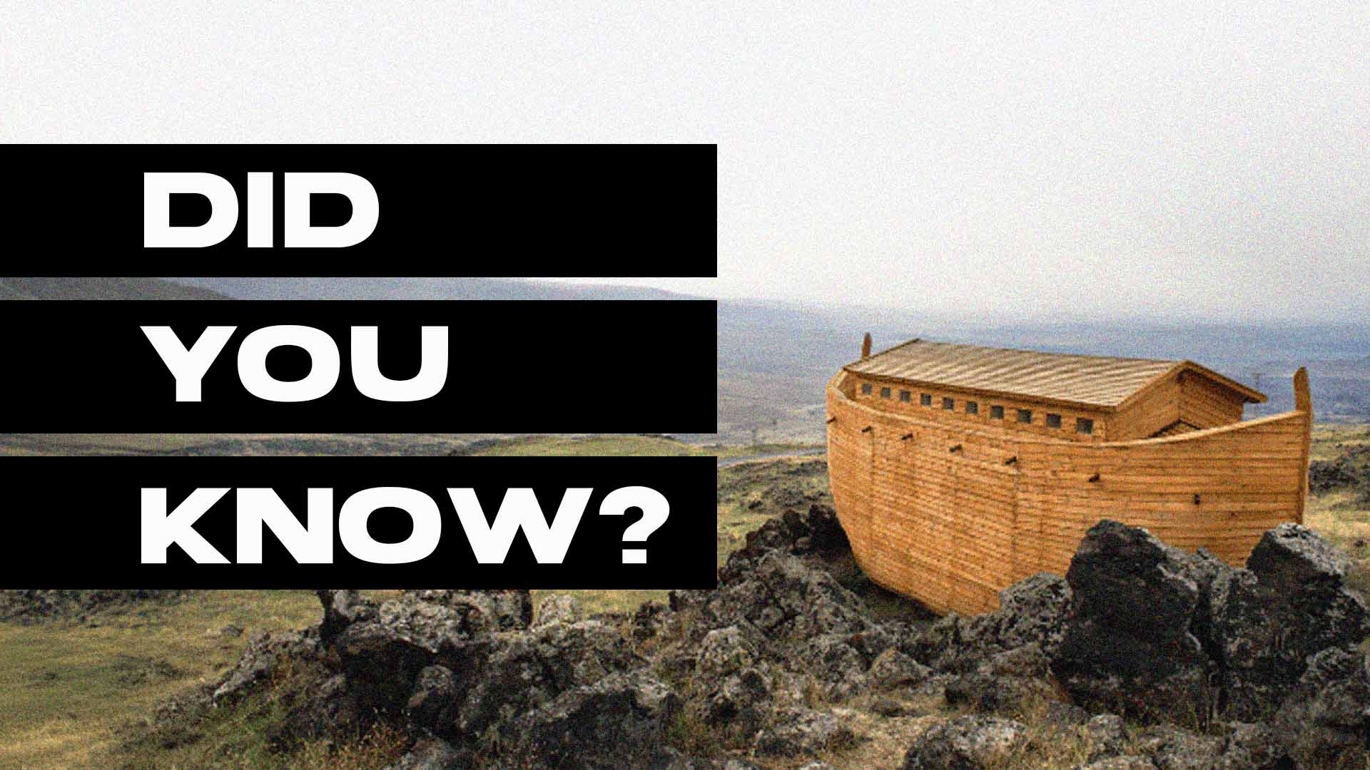 5 Things You Didn't Know About Noah & the Ark